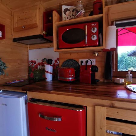 La Roulotte Du Cagire - 4 Pers - Pyrenees Villeneuve-de-Rivière Exterior foto